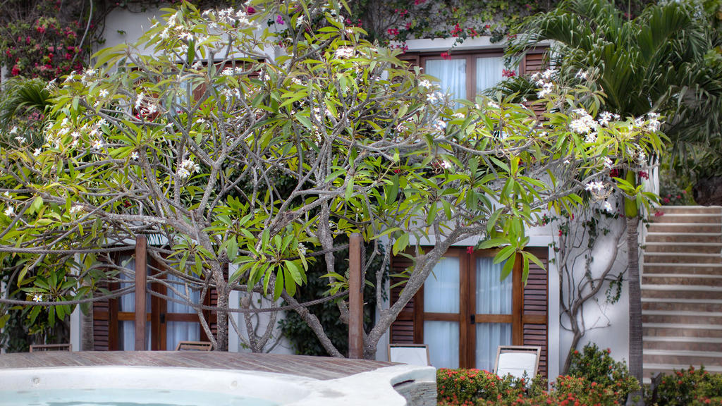 My Blue Hotel Jijoca de Jericoacoara Ngoại thất bức ảnh